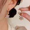 New Luxury Zircon Snowflake Drop Earrings for Women New Fashion Earring Jewelry Party Accessories