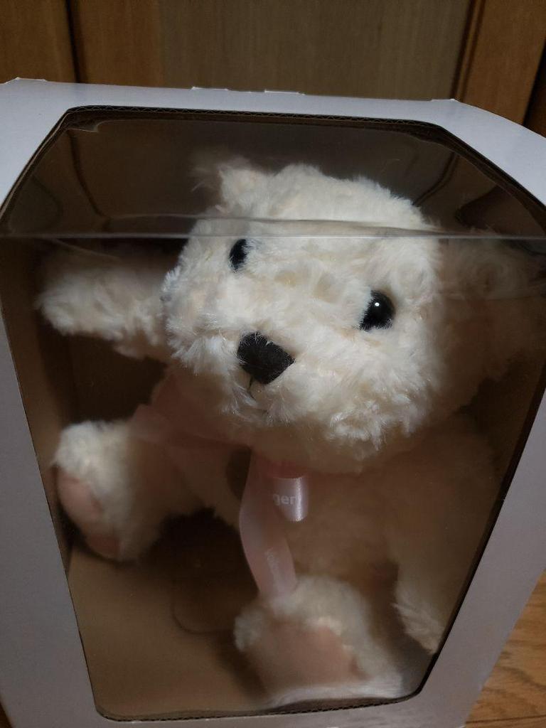 [USED] Volkswagen Original Teddy Bear (Not for Sale)