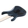IBANEZ Ibanez/Ограниченная серия RGR6BSP-IPT (Железо Пьютер) [Ограниченная модель]