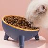 Raised Tilted Elevated Bowl Pet Cats Food Water Dish Backflow Prevention Feeding Dispenser Container