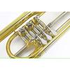 PLAYTECH Bass Trumpet, 3 Rotary, Lacquer Finish, Semi-Hard Case Included