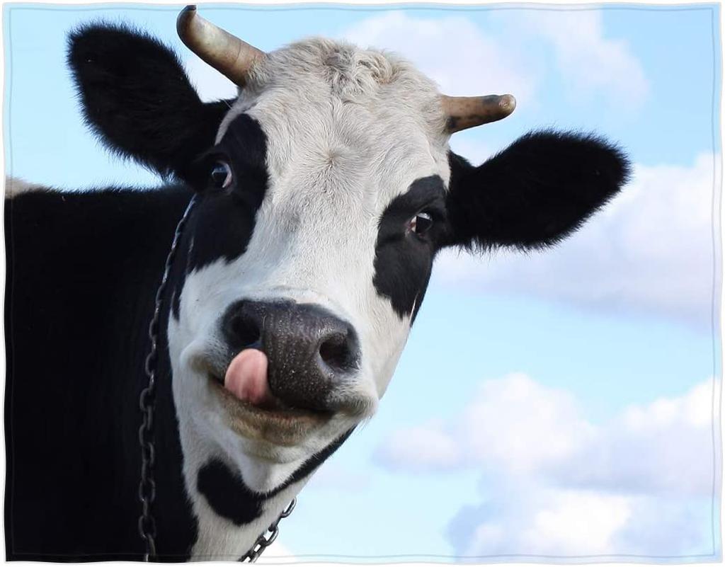 Cute Cow Blanket Super Soft Cow Print Flower Throw Blanket Lightweight Plush Flannel Blanket for Kids Adults Bed Sofa Living Room