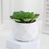 Evergreen Artificial Succulent Cactus Small Potted Plants Mini Bonsai Plants  Home