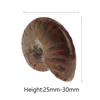Crystal Collectibles Specimen Fossil Ammolite Facet Madagascar Stone Natural Iridescent Ammonite