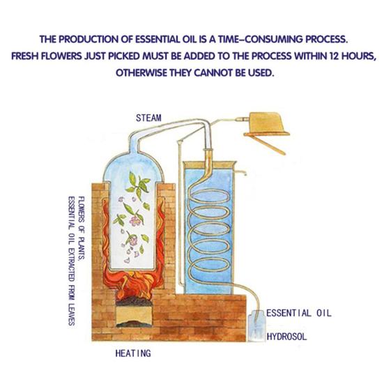 10 мл эфирное масло сладкого апельсина, увлажняющее женское ароматическое масло для ухода за кожей для йоги