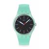 Swatch HINT OF MINT SO29L103 Зеленые наручные часы