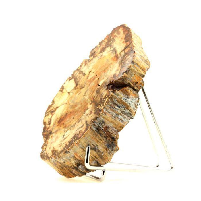 Pierres et Minéraux. Bois pétrifié. 6750.0 ct. (1.35 kg). Majunga, Madagascar.