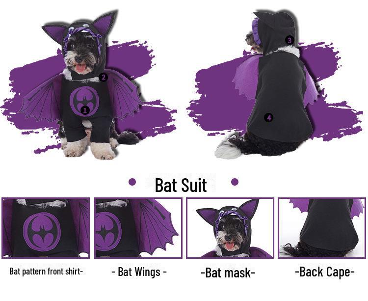 Funny Dog Halloween Costumes: Teddy Schnauzer Thor Transformation Outfit