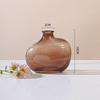 Irregular Glass Vase for Hydroponic Plants - Small Decorative Holder for Living Room Flower Arrangements