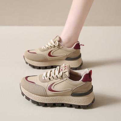 Ретро Майяр большие размеры кроссовки весна новые кроссовки на платформе на шнуровке в стиле колледжа спортивная обувь женская