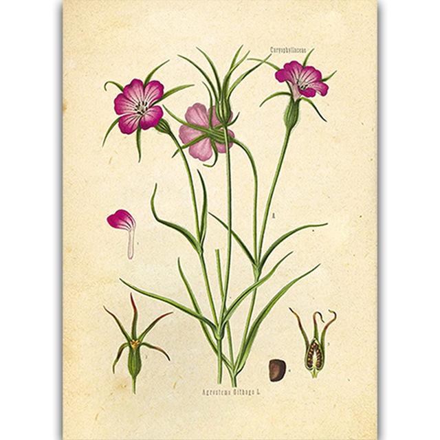 Винтажный постер с дикими растениями, ботанический цветочный кабинет, подвесная картина для гостиной, картина с пионом, эстетический декор комнаты, холст, картина без рамки