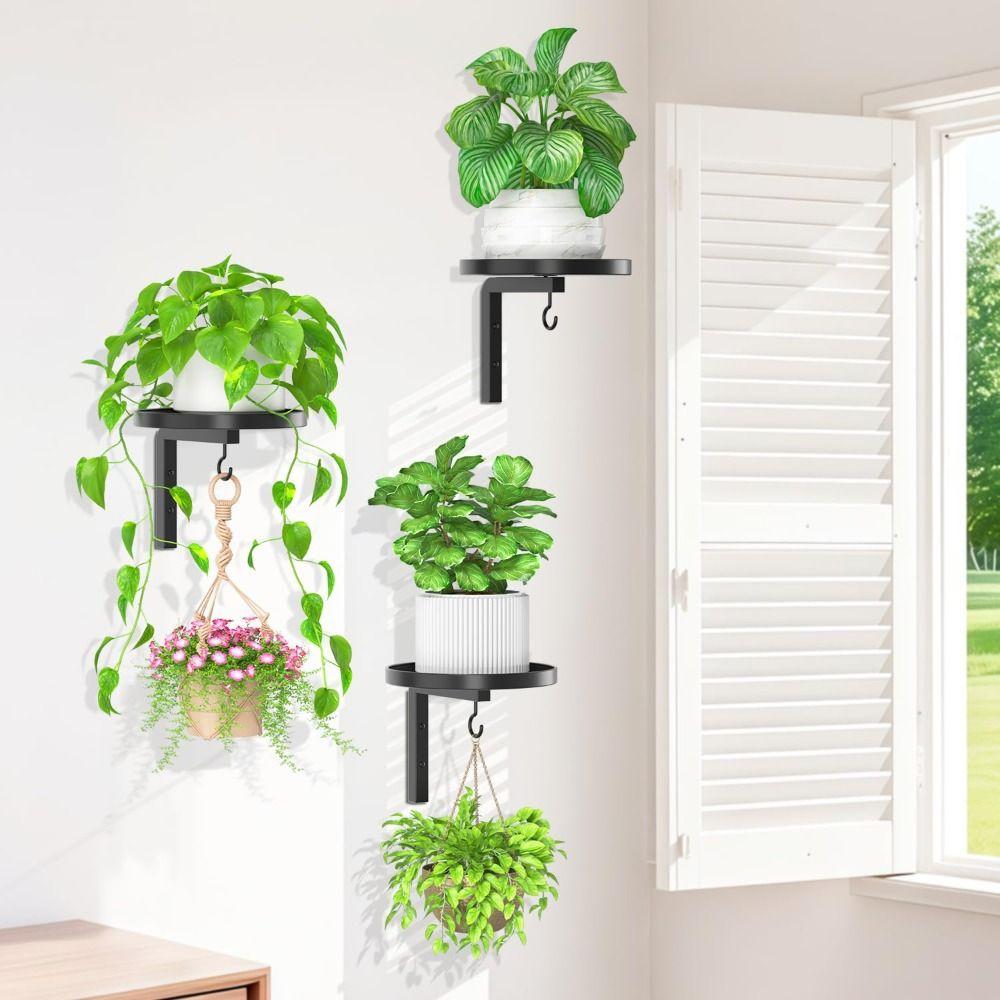 Metal Floating Flower Display Stand Wall Mounted Wall Plant Stand New Plant Holders  Indoor Outdoor