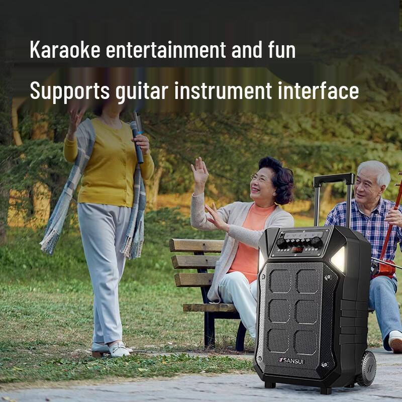 SANSUI D15 15-inch Outdoor Trolley Speaker with Wireless Mic CN plug (adapter included)
