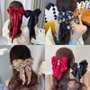 New Red Bowknot Hairpin Fashion Women Hair Clip Fabric Korean Style Long Ribbon Butterfly Hairpin Hair Accessories