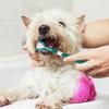 3-Sided Pet Toothbrush Dog Plastic Toothbrush Removing Bad Breath Tartar Cleaning Mouth Pet Dental Care Pet Cat Cleaning Mouth