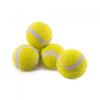 Carta Sport Tennis Balls (Pack of 12)