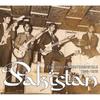 Pakistan   Folk   Pop Instrumentals 1966 1976