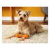 Richell Dog Toy Nerf Dog Light Barbell 7i