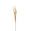 Pampas Grass Artificial Flower
