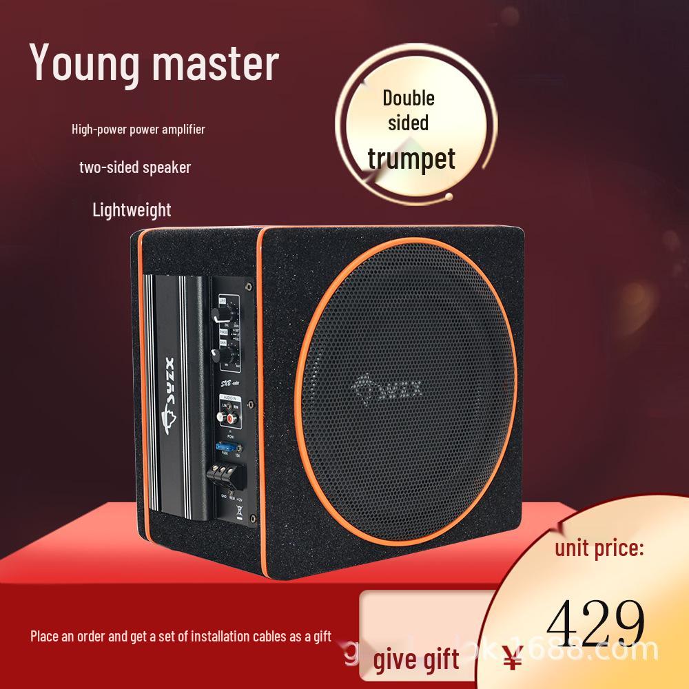 10-дюймовый высокомощный автомобильный сабвуфер 1310