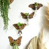 1Pc Butterfly Style European Style Test Tube Originality Wooden Bohemia Hollow Out Wall Decoration Plant Rack