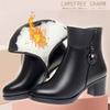 2025 Зимние женские ботинки Модные повседневные кожаные ботинки Роскошные остроносые ботильоны на толстом каблуке для женщин Плюшевые теплые зимние ботинки Ботас