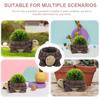 HOMSFOU Turtle Succulent Cartoon Turtle Shape Flower Small Resin Bonsai Plant Desktop Decor for Balcony Planter, Pot, Pot, Home, Office, Garden,