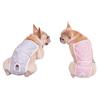 Girl Dog Sanitary Panties Physiological Pants Small Dog Period Jumpsuits Shorts Female Dog Diaper Pantie Washable Shorts