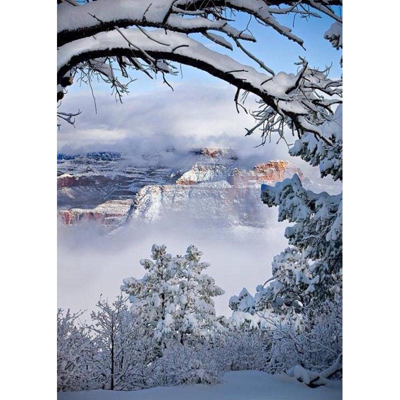 5D DIY алмазная живопись Зимний снежный пейзаж Пейзаж Полный Круглый Алмазный подарок Набор для вышивки крестом Мозаика Настенное искусство Домашний декор