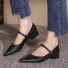 Pointed High Heels French Soft Sole Shoes Versatile Light Women's Shoes One-strap Shallow Mouth Mary Jane Shoes