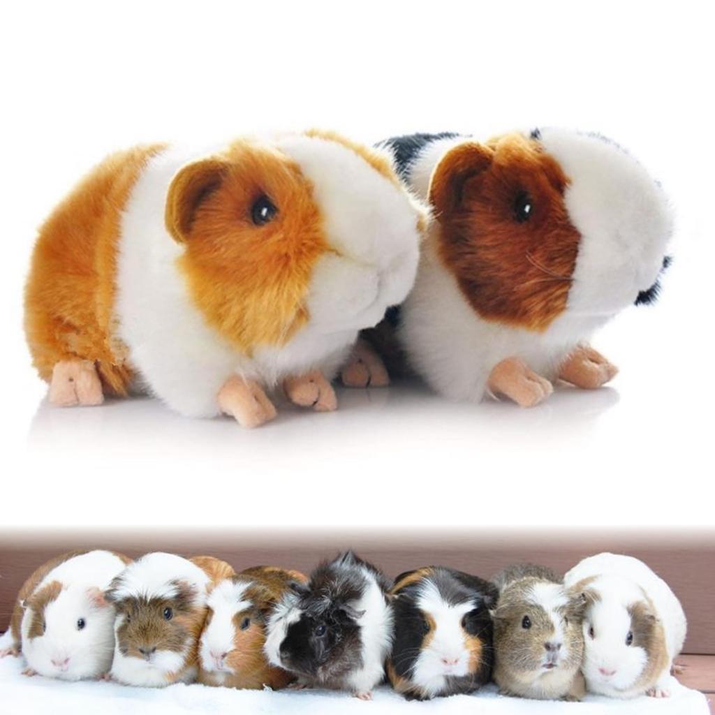 MIMIA Guinea Pig Plush Small Guinea Animal Doll Toy, Gift, Animal, Fluffy, Large, Cute, Realistic, Kids, Pet, Pig, Mouse, (Guinea Pig)