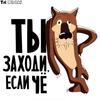 Tri Mishki WCS002 15x16.1cm Cartoon Brown Anime Wolf You Just Come If Something Car Sticker Funny Colorful Accessories Decals