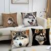 Животное Милый Сибирский Хаски Наволочка Модная Квадратная Наволочка Спальня Диван Комната Ин Декор Досуг Наволочка 40х40