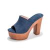 Women Sandals Platform Shoes Clogs Chunky Super High Heels Pumps Female Flipflop Slippers Sexy Sandalias