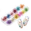 Mix Dried Flowers Nail Decorations Natural Floral Leaf Stickers 3D Nail Art Designs Polish Manicure Accessories