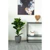 House Nordic Искусственное дерево Ficus lyrata 100 см Зеленый 442779