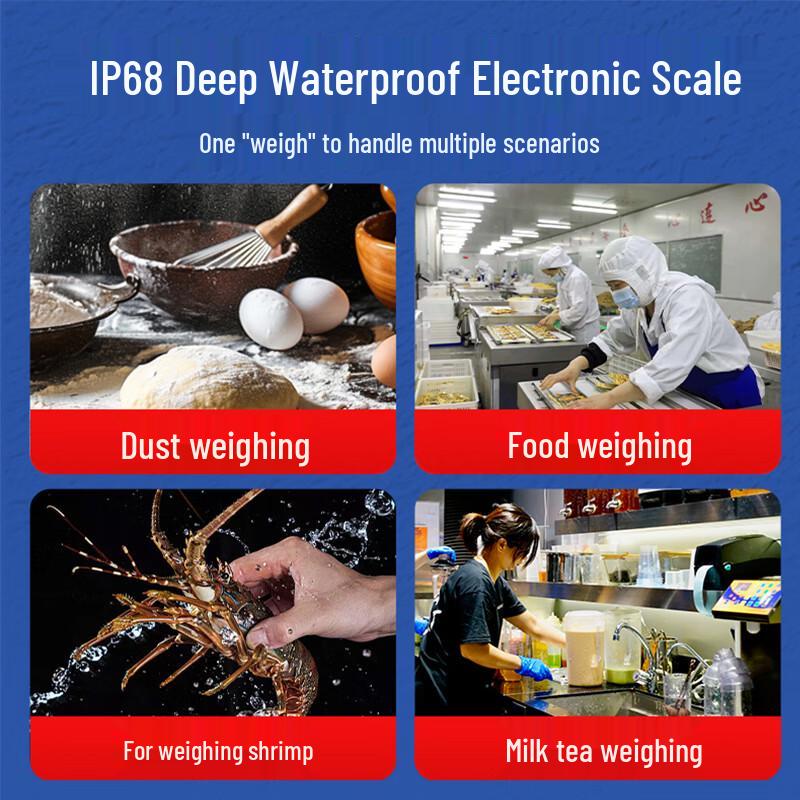 Haozhan HZ-27 IP68 Waterproof Commercial Lab Scale 1kg/0.1g