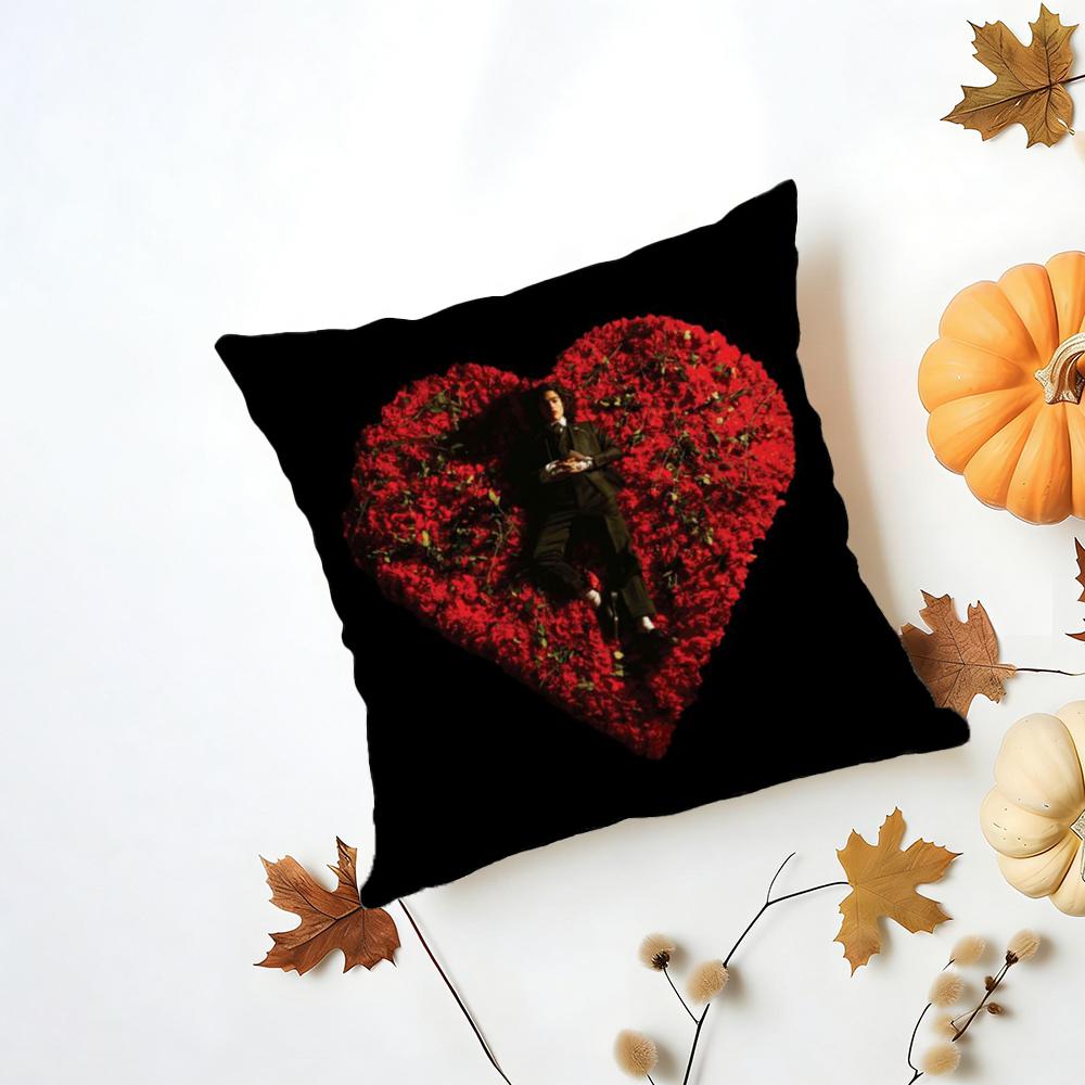 Conan Gray Holidays Cushion Cover Iceland Washable Linen Soft for Daily Sofa Bed Home Room Decor