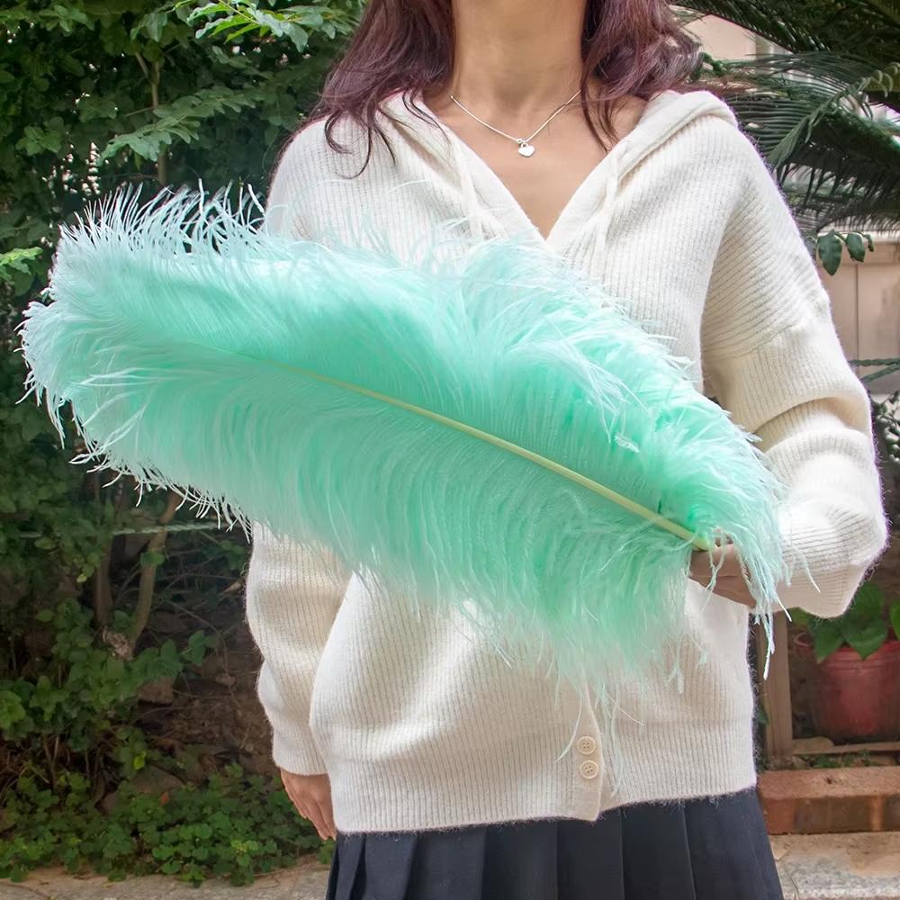 15-60Cm Natural Ostrich Feathers | High-Quality For Diy, Wedding, Party, Stage, Costume & Home Decor | Various Colors Available