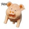 Paint Can Accessory 3D Printed Pig Spray Nozzle, Shaped Decorative Nozzle Tip, Universal Bottle Replacement, Gift for DIY Lovers