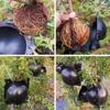 5cm-12cm Black Fruit Plant Tree Rooting Ball Root Box Plastic Breeding Case Propagation Grafting Rooter Growing High-pressure