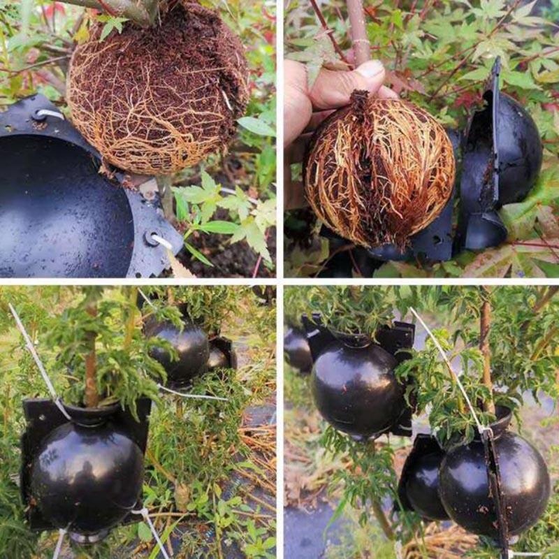 5cm-12cm Black Fruit Plant Tree Rooting Ball Root Box Plastic Breeding Case Propagation Grafting Rooter Growing High-pressure