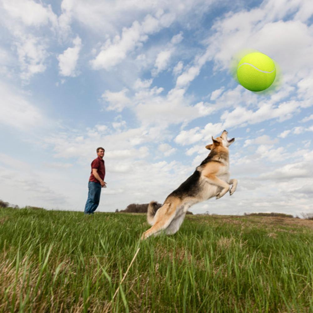 9.5‘um Oversize   Tennis  s Inflatable Tennis   with Pump Dog Toy  s For Signature Children Adult Pets Dogs Cats Fun