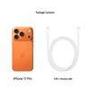 Apple iPhone 17 Pro Max (Китайская версия)