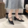 Fashion Spring Autumn New Pointed Single Shoes Women Thick Middle Heel Shallow Mouth Pumps Elegant Solid Belt Buckle Heels for Women