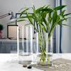 Fresh Flowers Transparent Flower Vase Hydroponic Plants Decorative Bottles  Restaurant Centerpiece