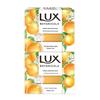 Botanical Citrus Bar Soap (2-Pack)