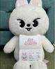 [USED] StrayKids SKZOO Teddy Bear Leavitt Reno