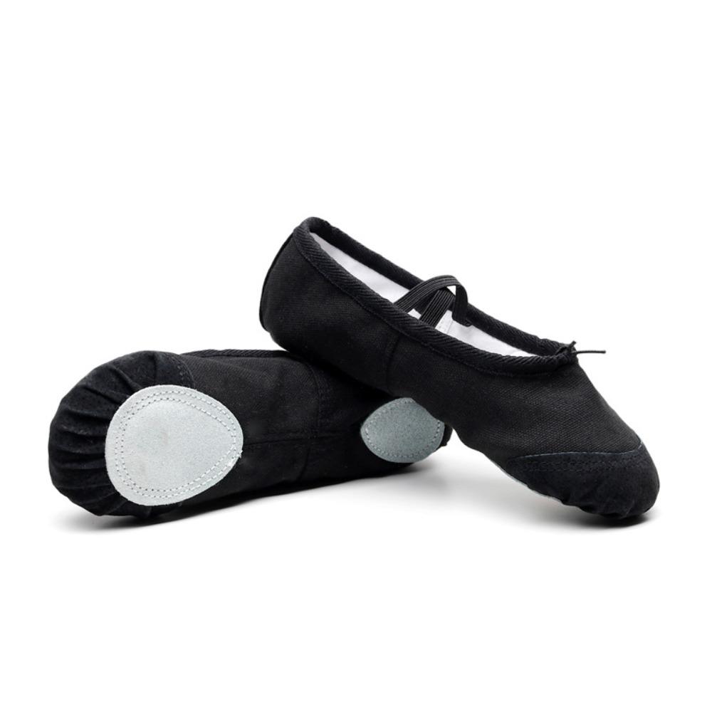 5 colors Ballet Dance Shoes Soft Sole Adult Dance Slippers Ballerina Shoes  for Women