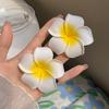 Bohemian Style Simulation Flower Hair Clip Korean Style Beach Hair Clip Flower Hairpin  Seaside
